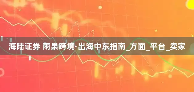 海陆证券 雨果跨境·出海中东指南_方面_平台_卖家