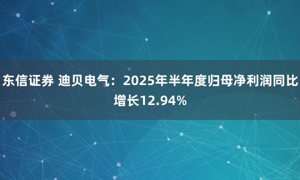 东信证券 迪贝电气：2025年半年度归母净利润同比增长12.94%
