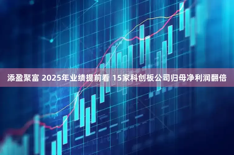 添盈聚富 2025年业绩提前看 15家科创板公司归母净利润翻倍