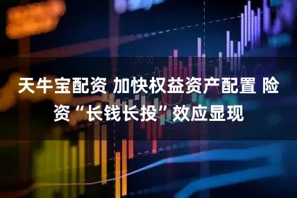 天牛宝配资 加快权益资产配置 险资“长钱长投”效应显现